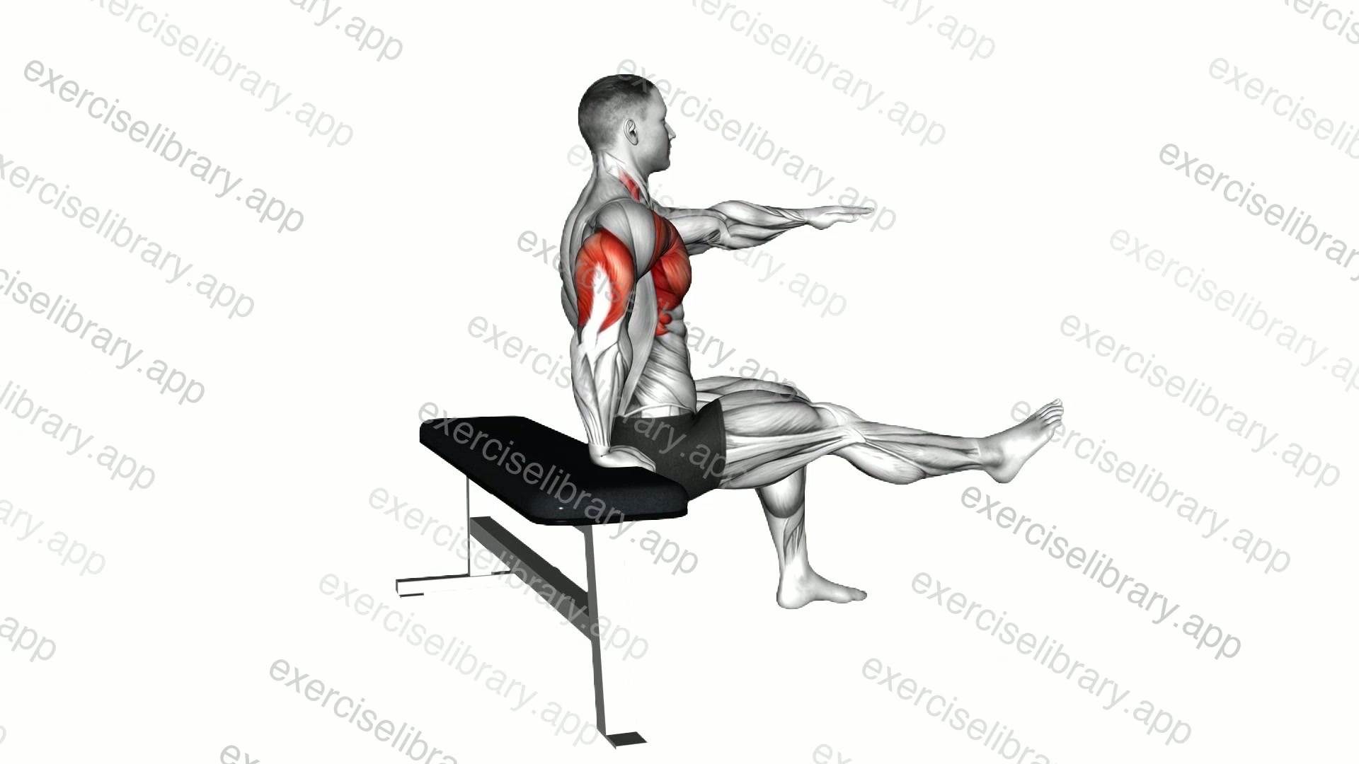 One Arm Dip demonstration