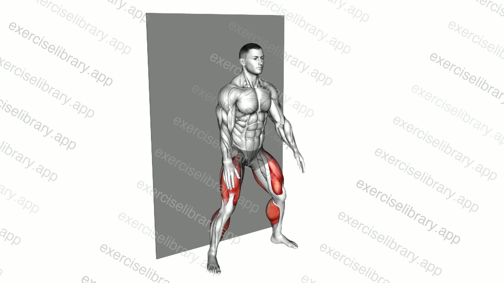 Plyo Sit Squat demonstration