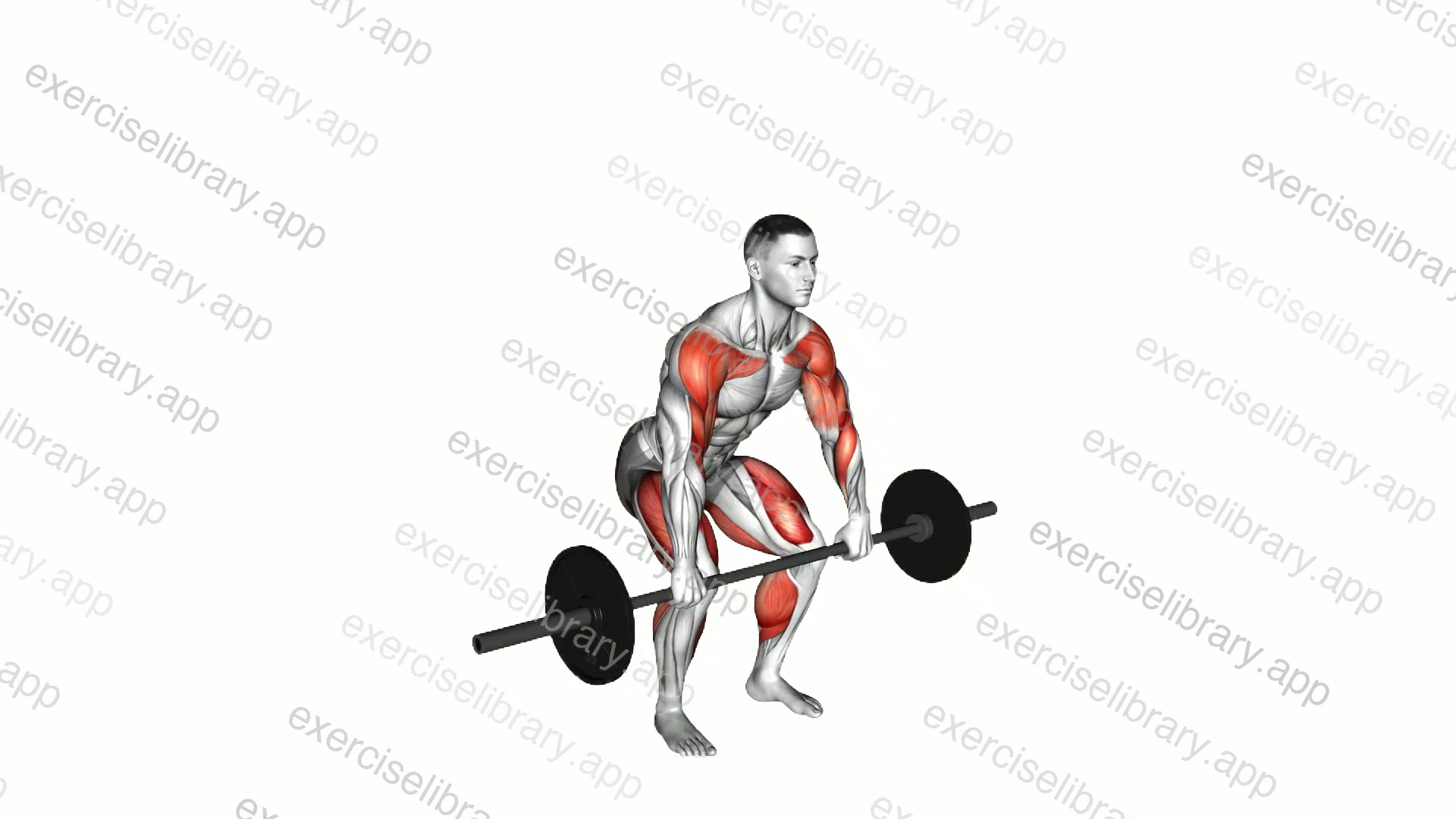Power Clean demonstration