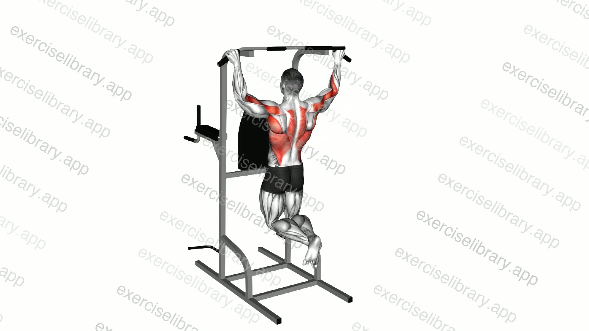 Pull-up demonstration