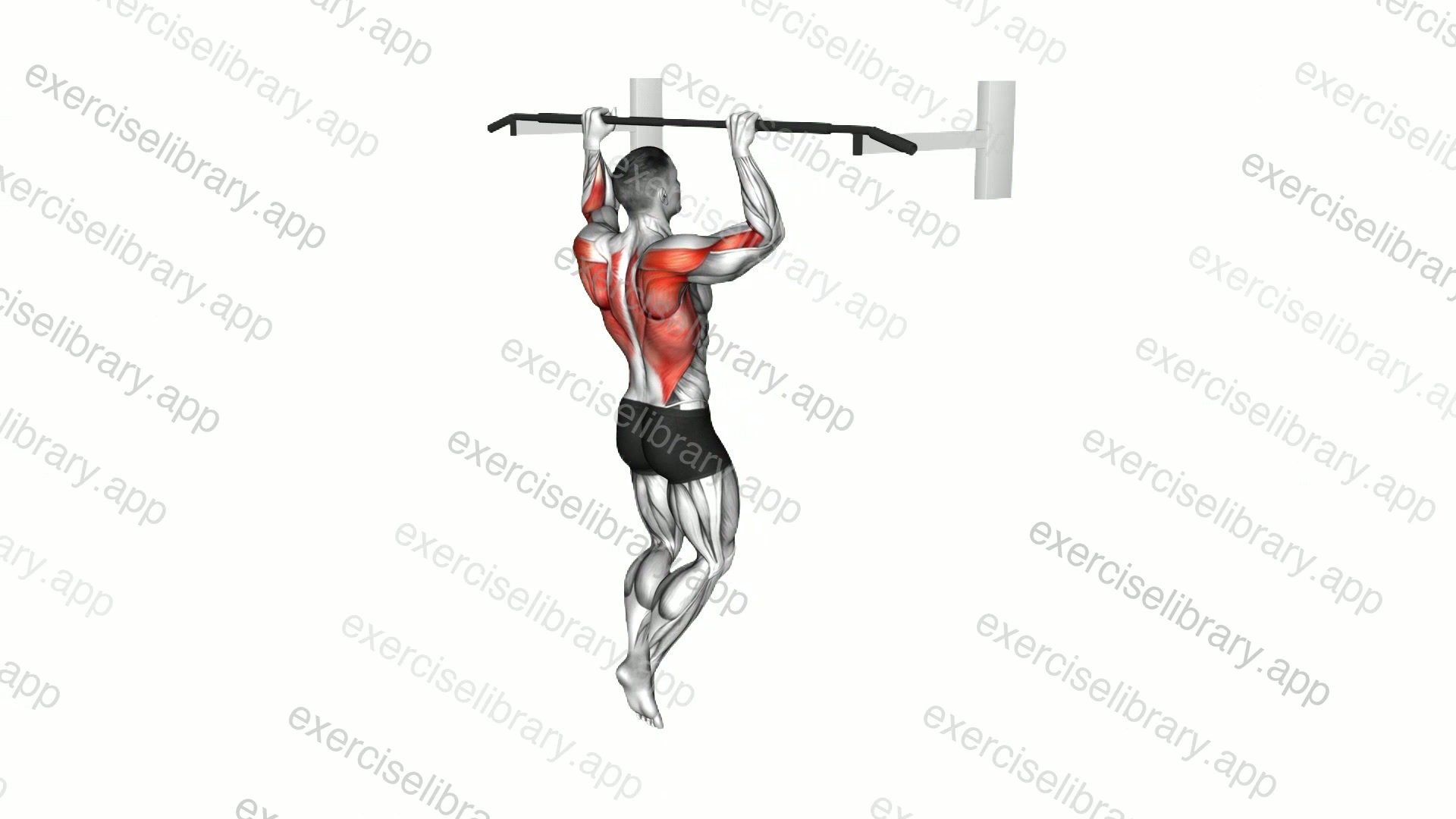 Pull-up demonstration