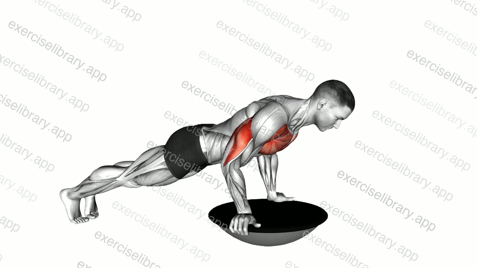 Push-up demonstration