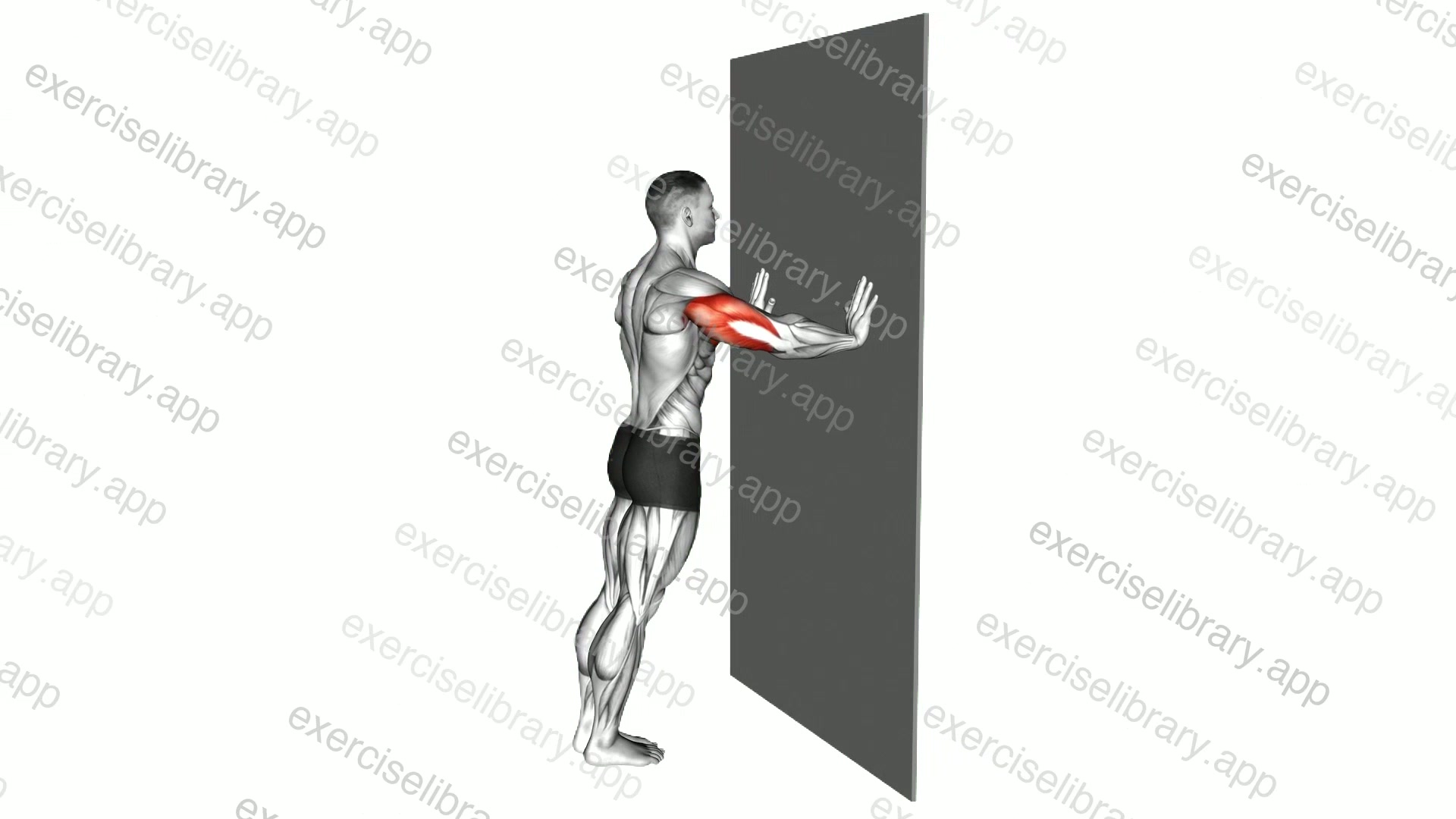 Push-up demonstration