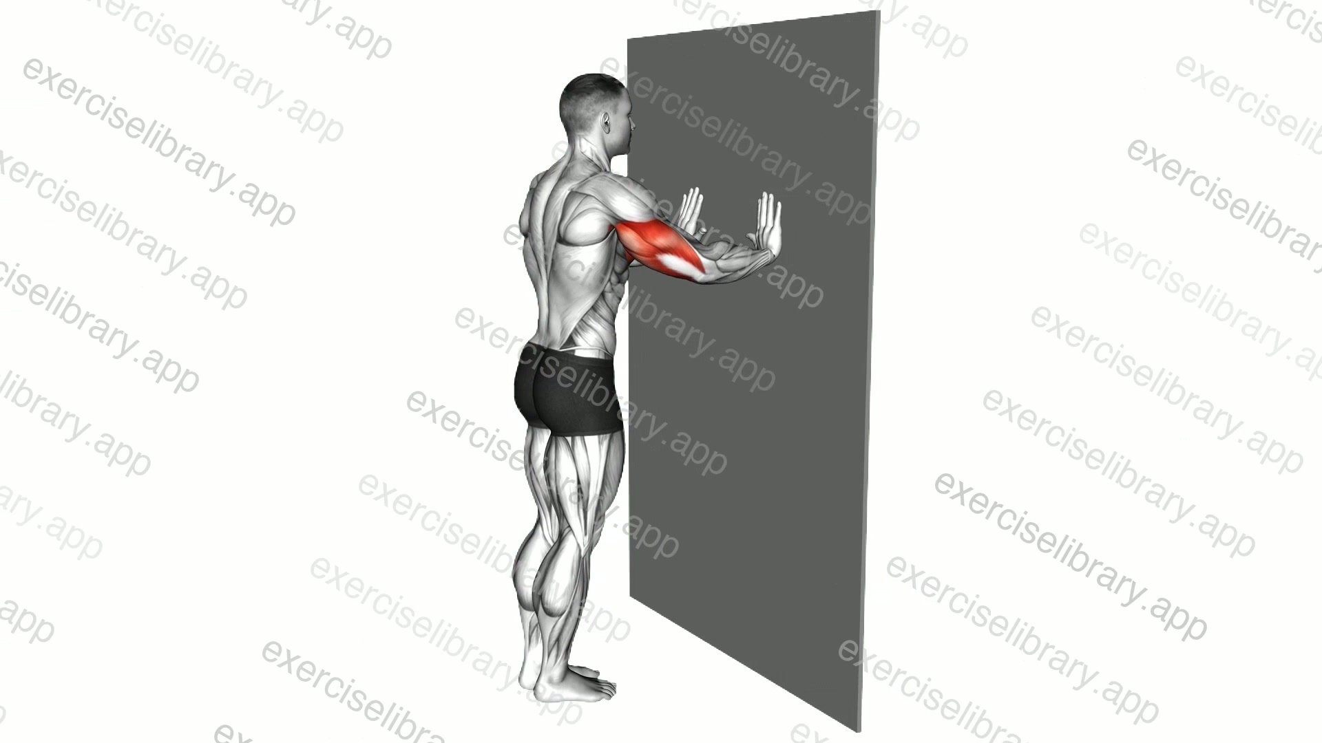 Push-up demonstration