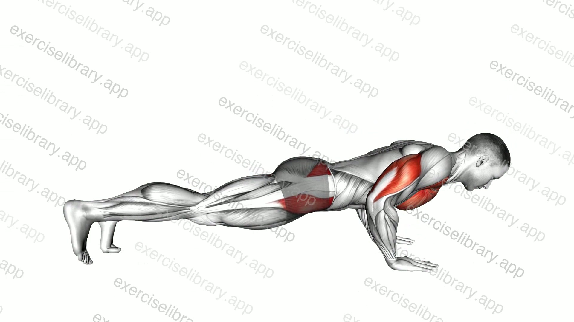 Push-up Inside Leg Kick demonstration