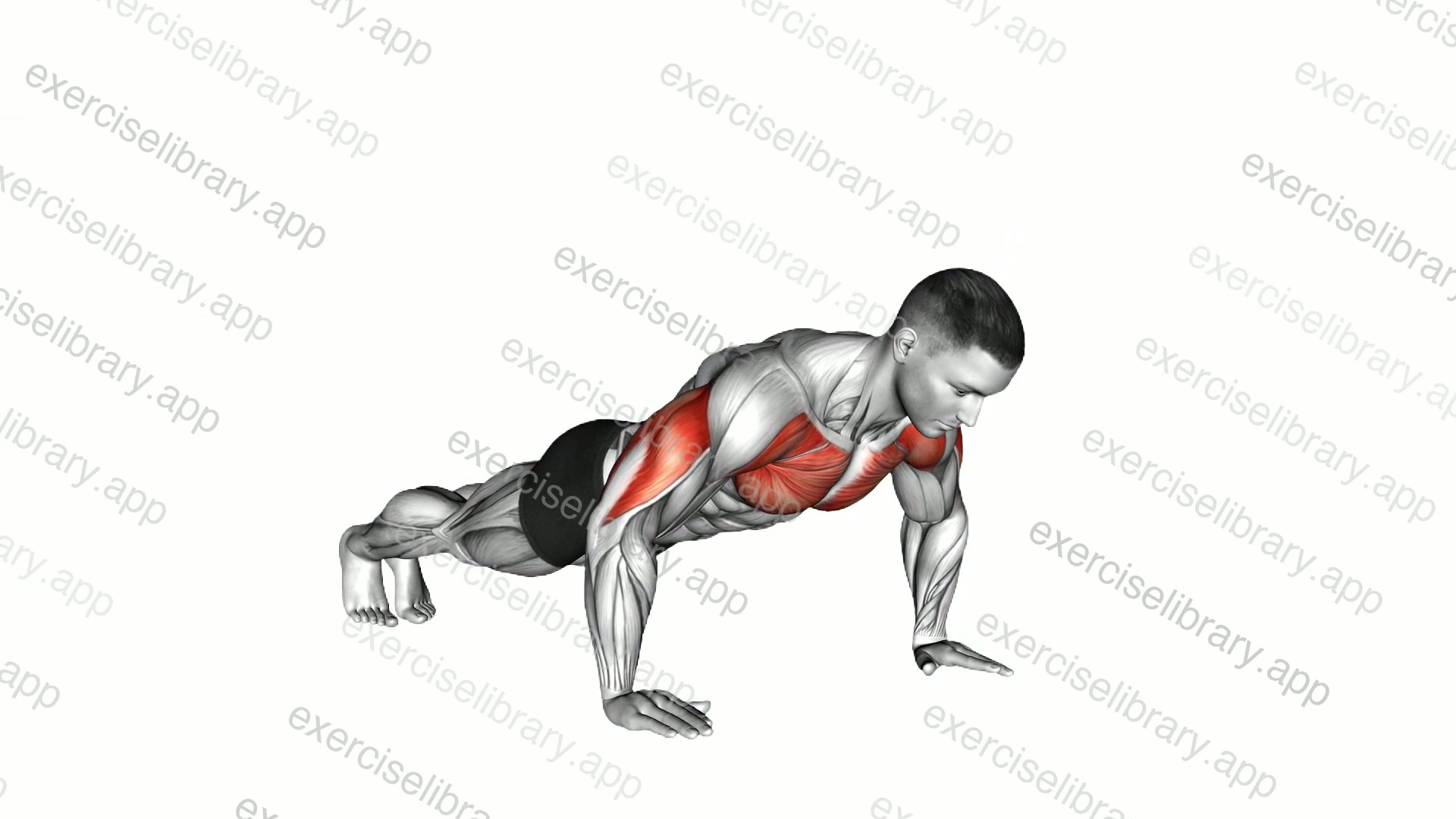 Push-up demonstration