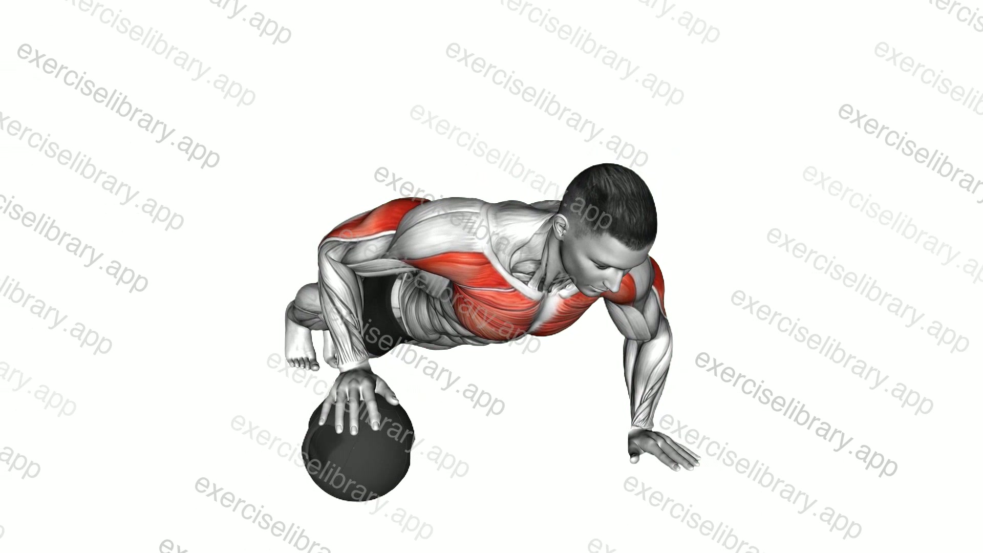 Push-Up Medicine Ball demonstration