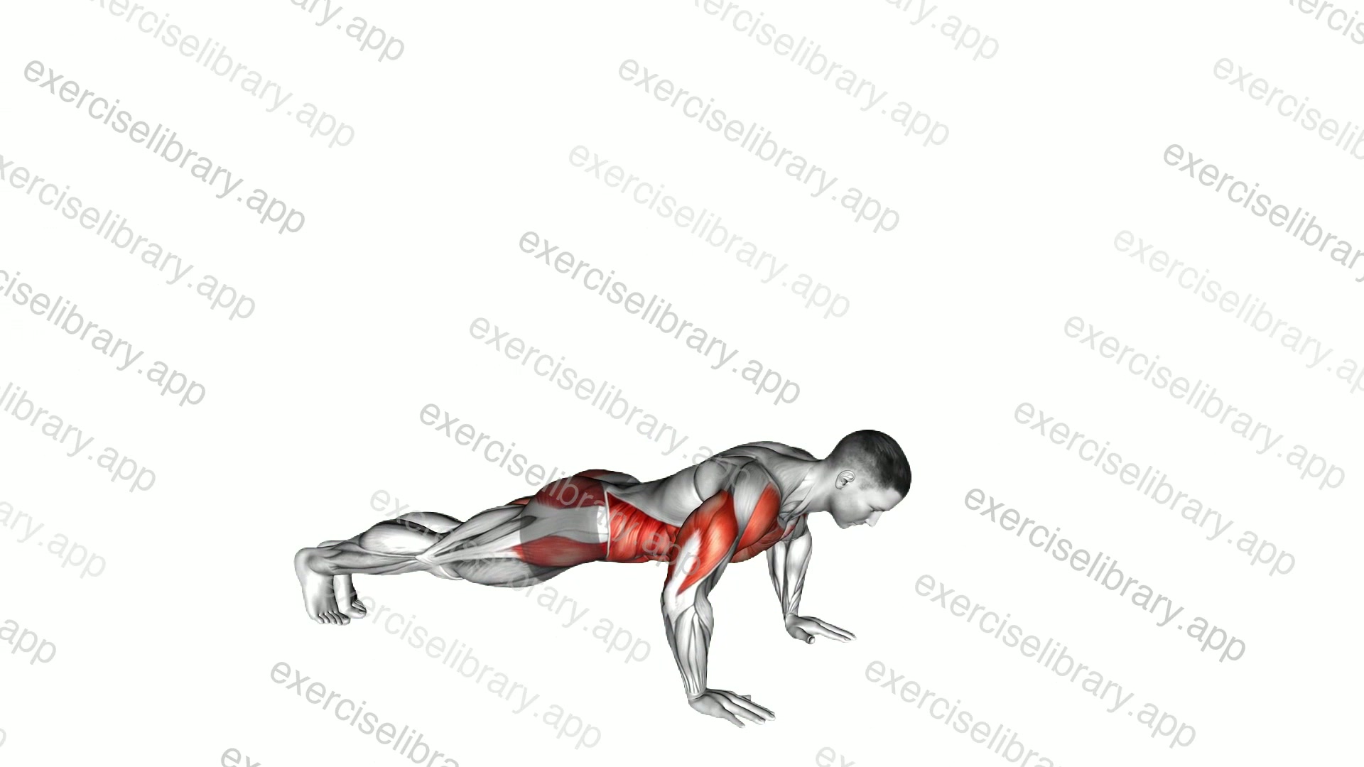 Push-up to Side Plank demonstration