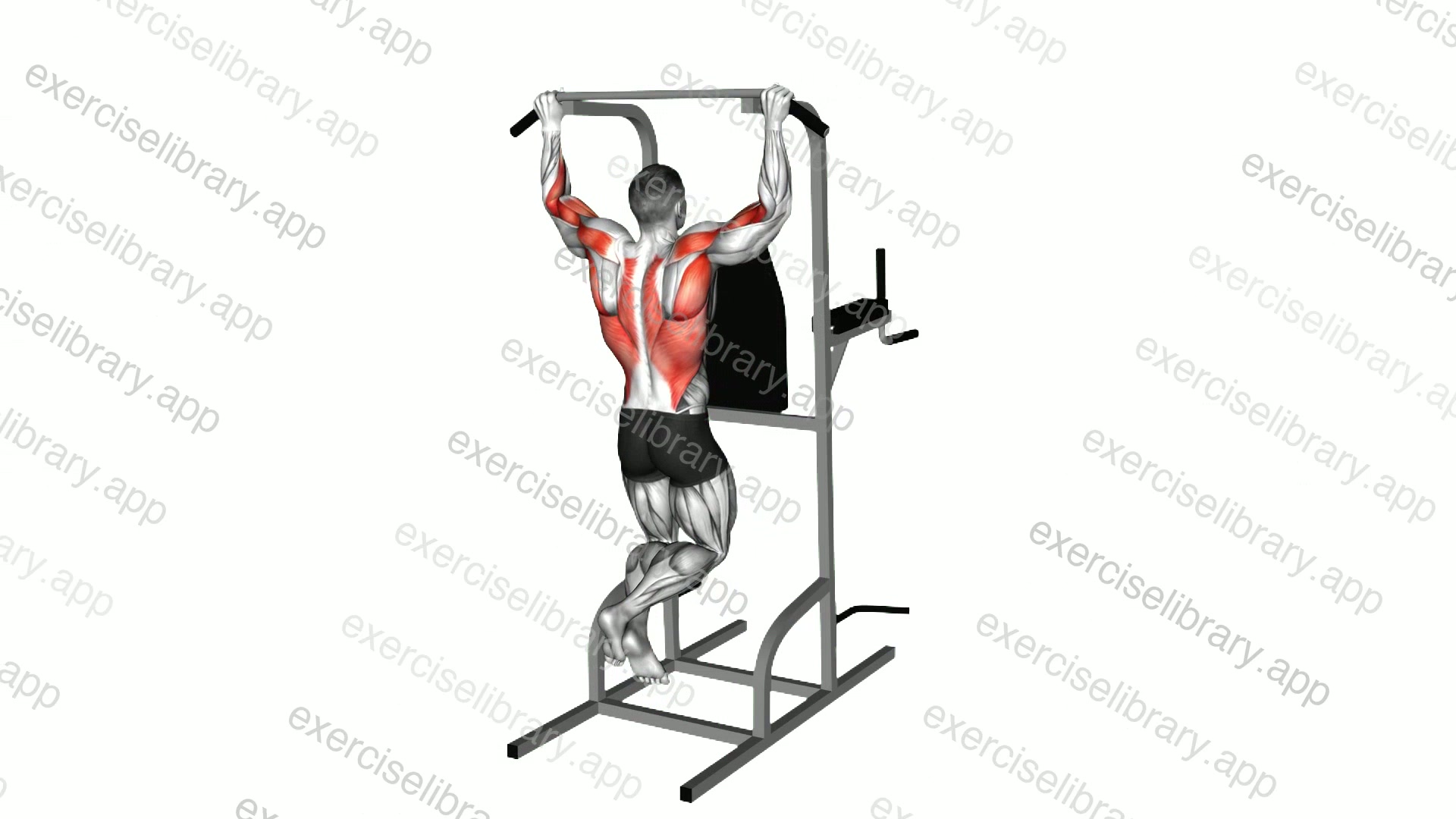 Rear Pull-up demonstration