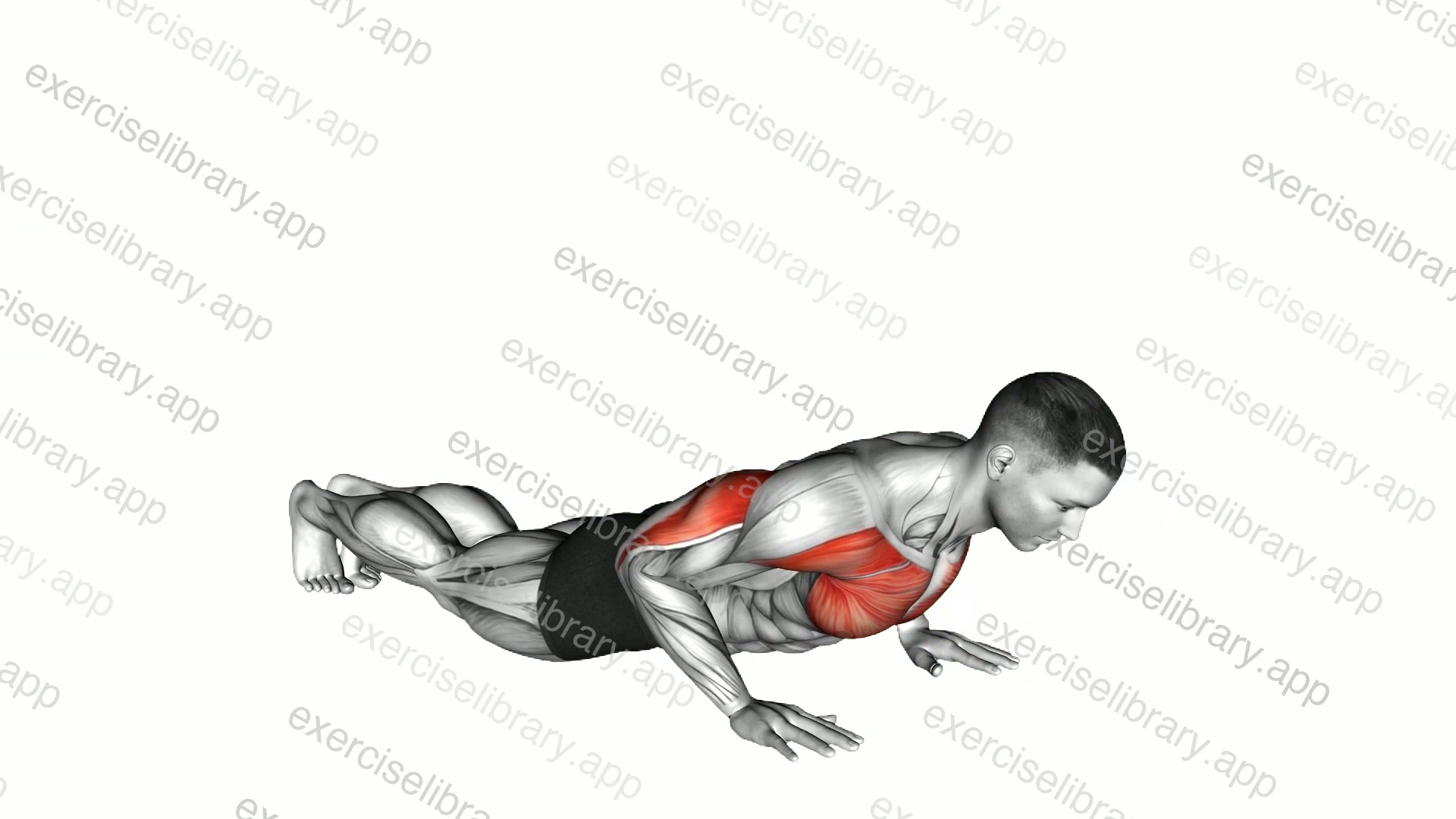 Reverse Dip demonstration
