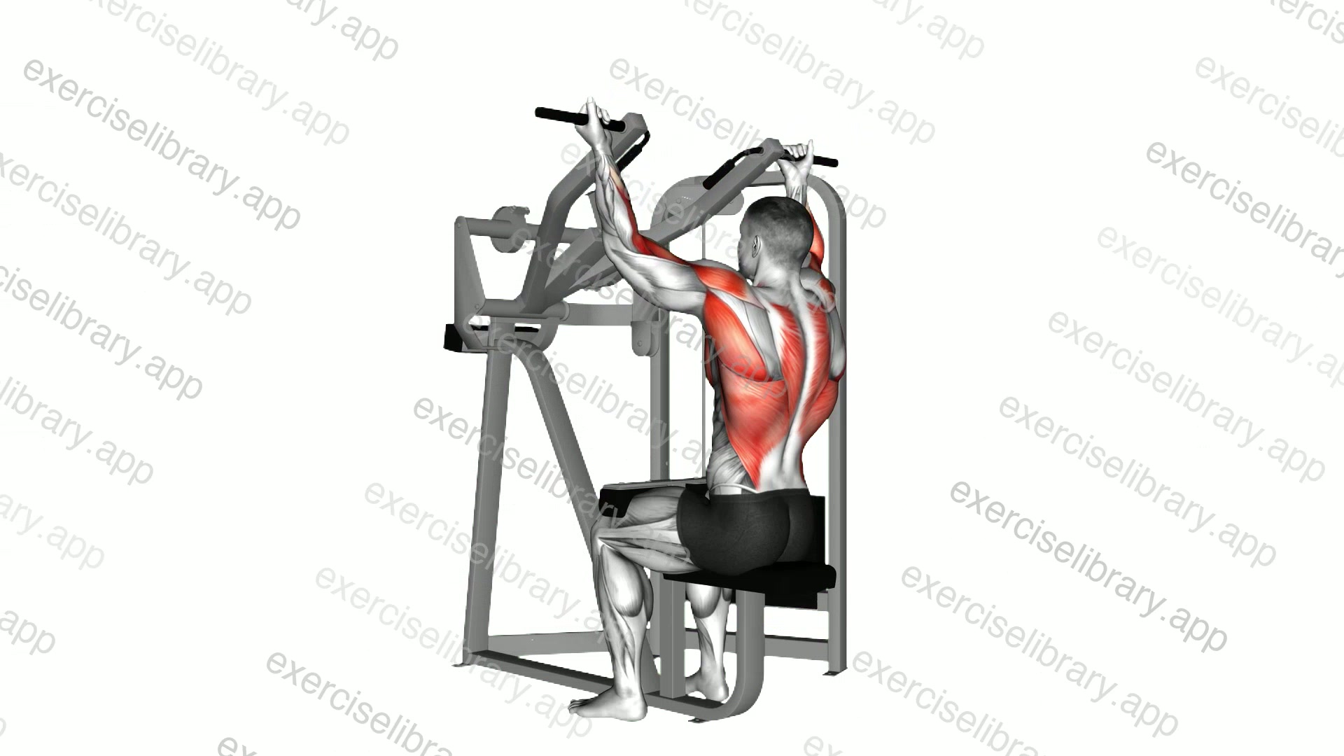 Lever reverse grip lat pulldown demonstration