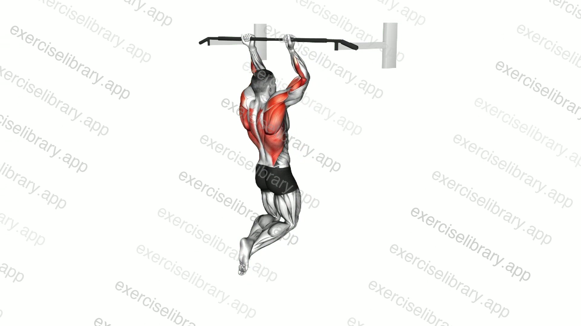 Reverse grip Pull-up demonstration