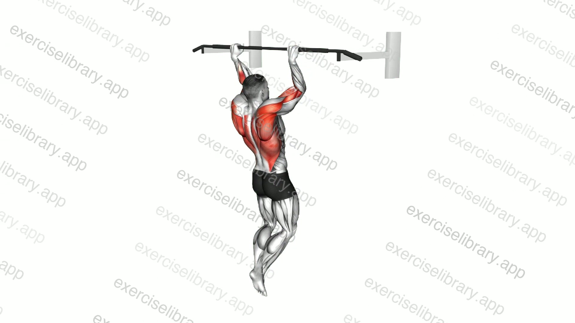Rocky Pull-up Pulldown demonstration