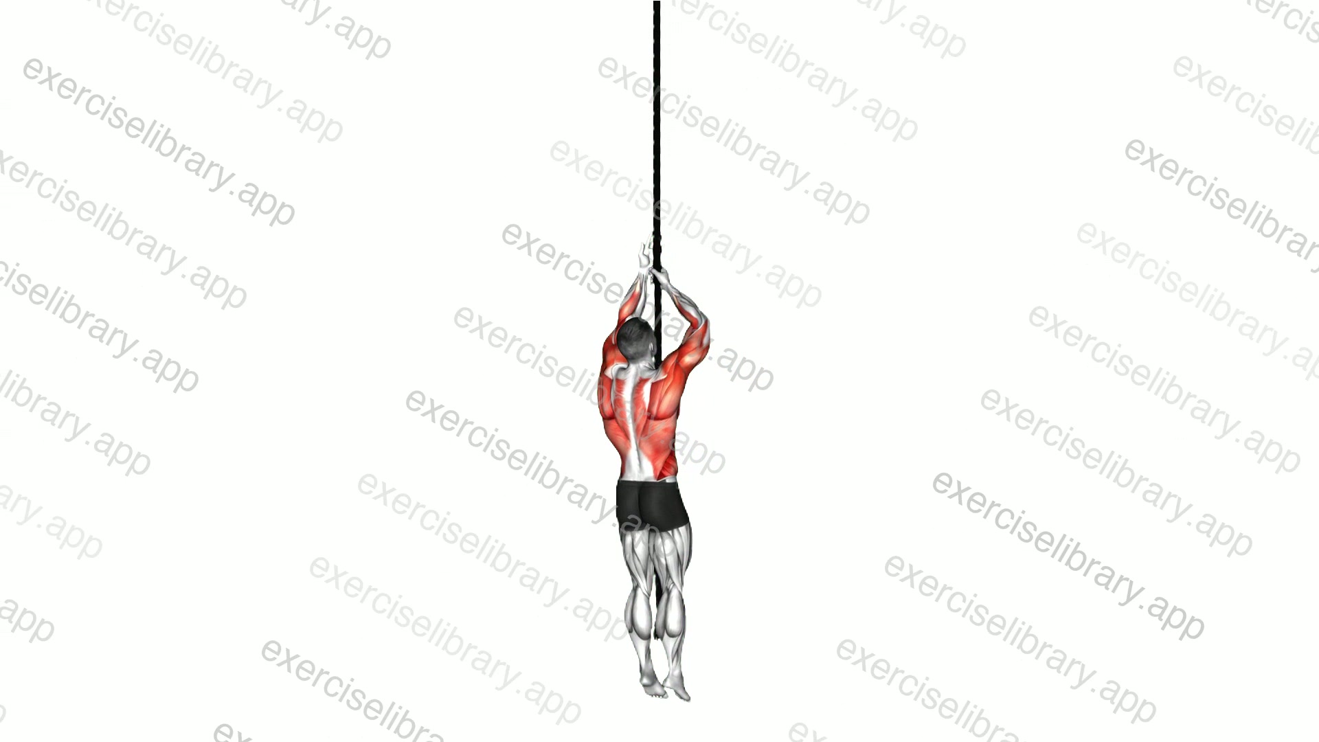 Rope Climb demonstration