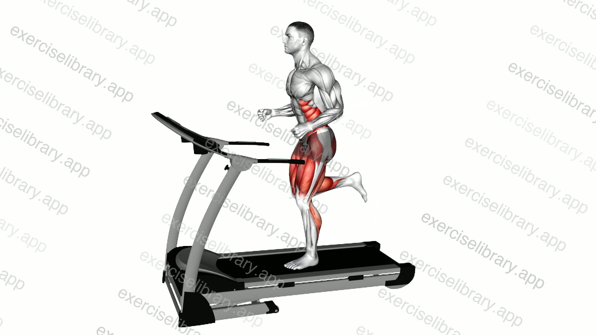 Run on Treadmill demonstration
