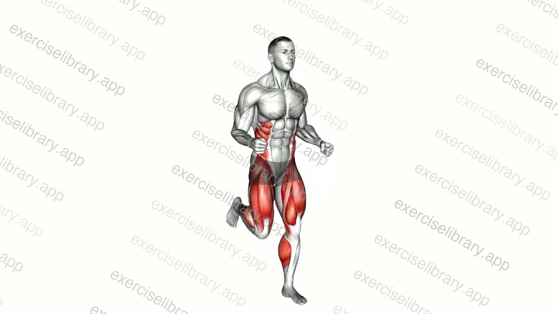 Run demonstration