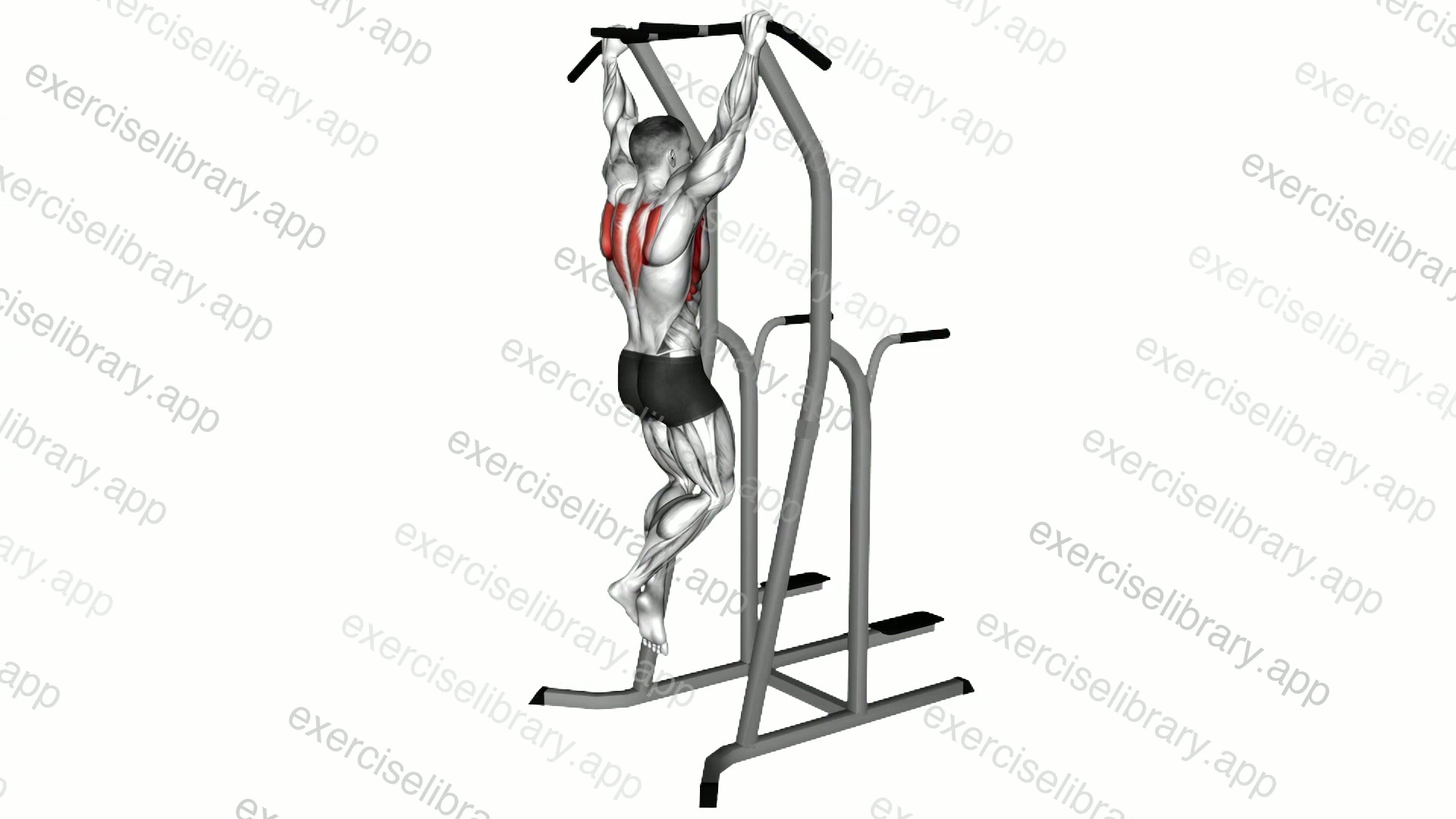 Scapula Pull-up demonstration