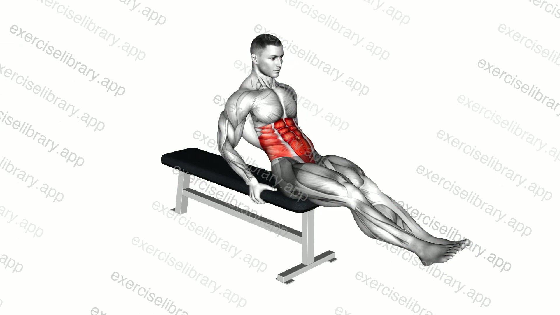 Seated Leg Raise demonstration