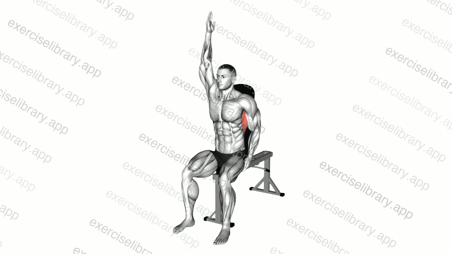 Seated Lower Back Stretch demonstration