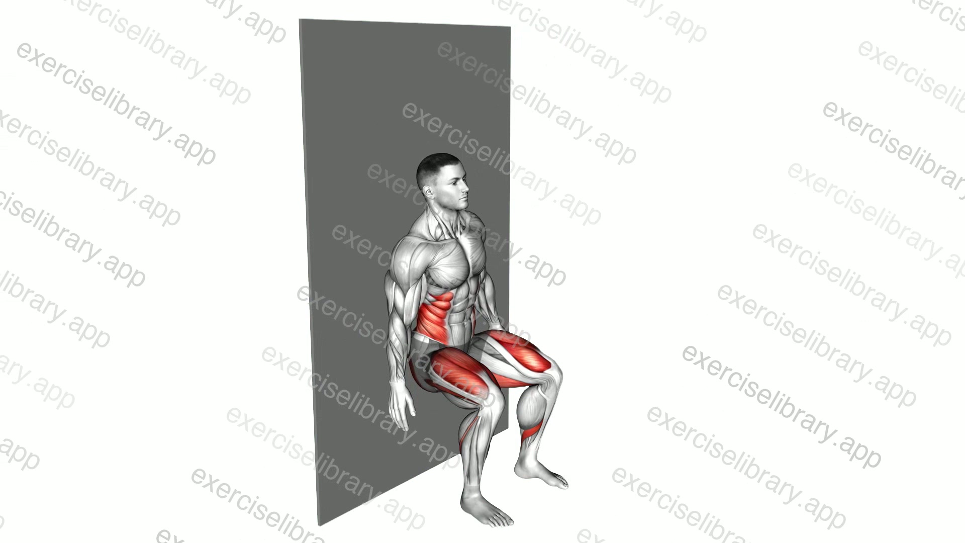 Seated Side Crunch demonstration