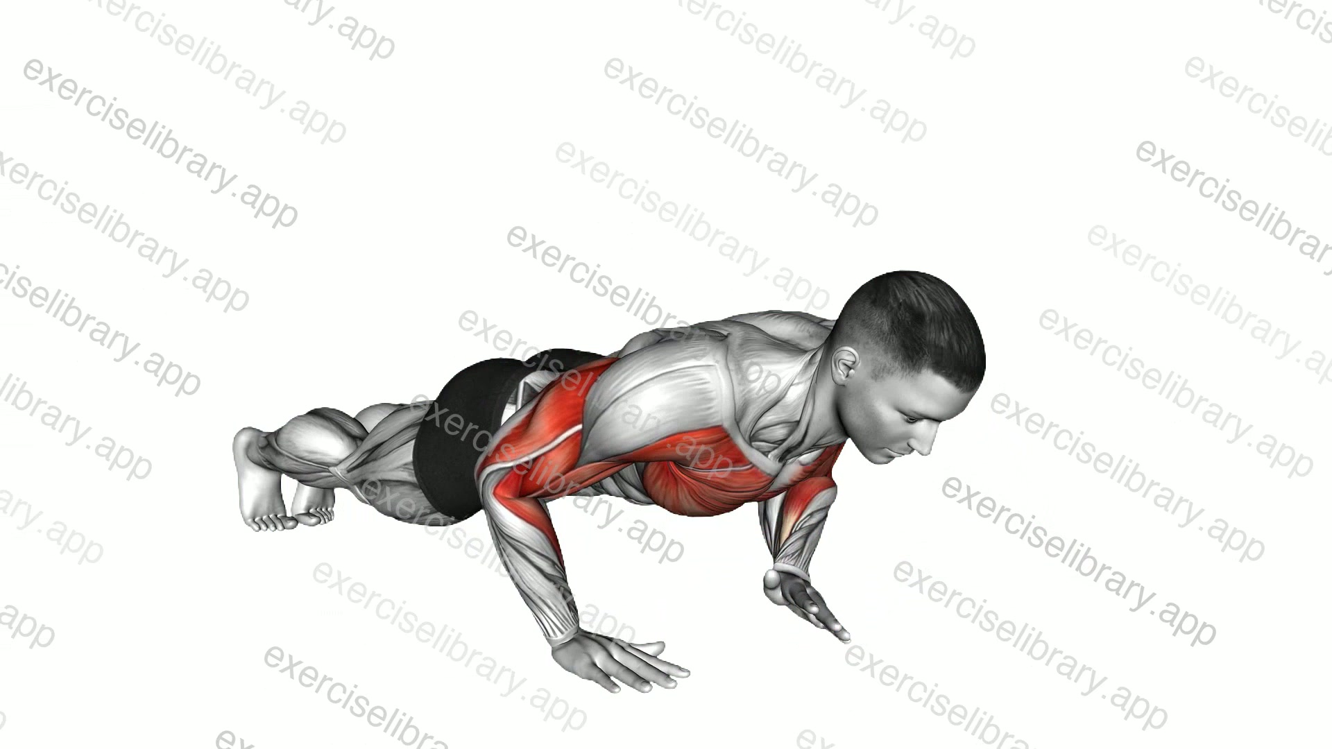 Shoulder Tap Push-up demonstration