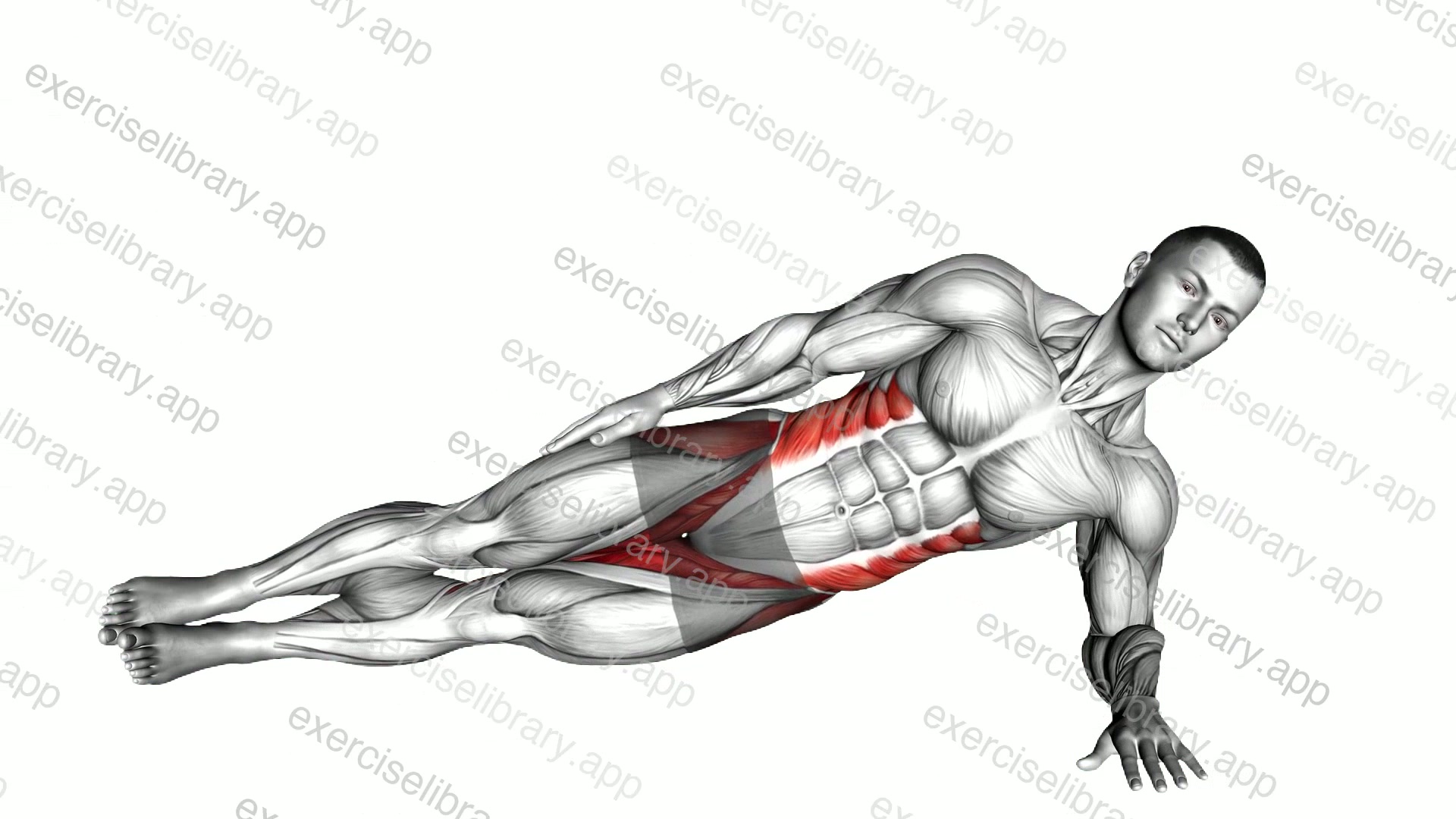 Side Plank demonstration