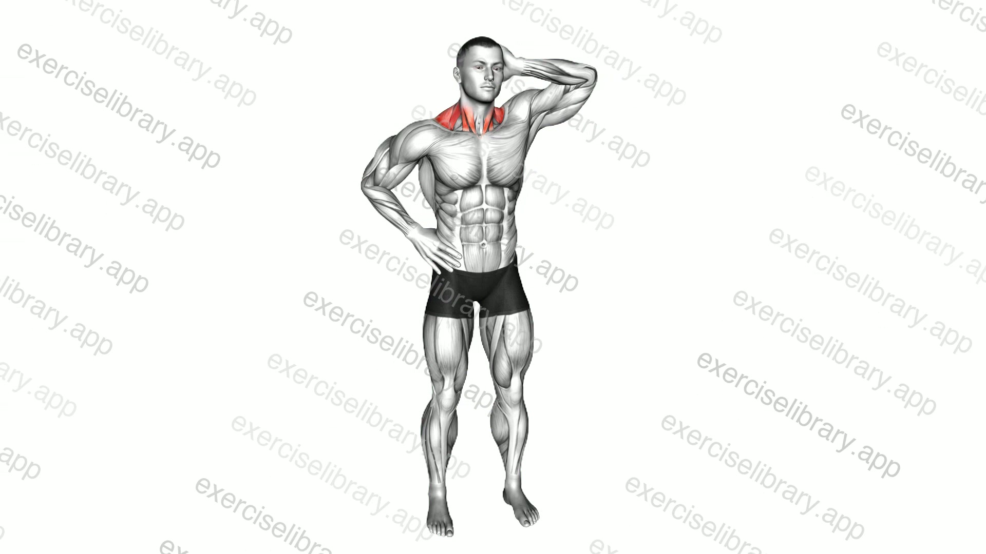 Side Push Neck Stretch demonstration