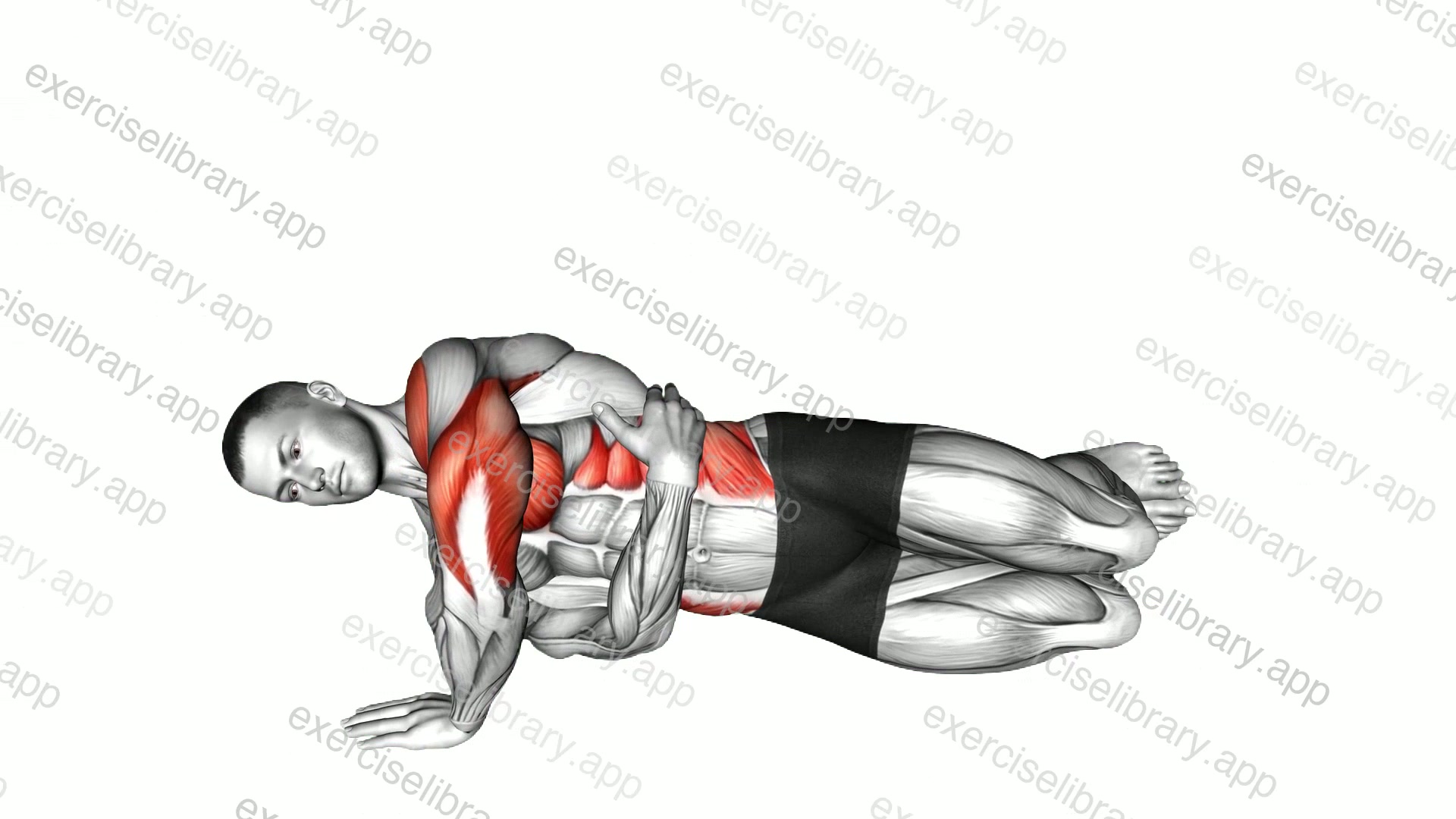 Side Push-up demonstration