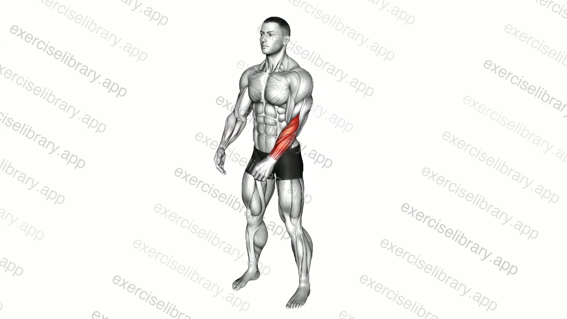 Side Wrist Pull Stretch demonstration