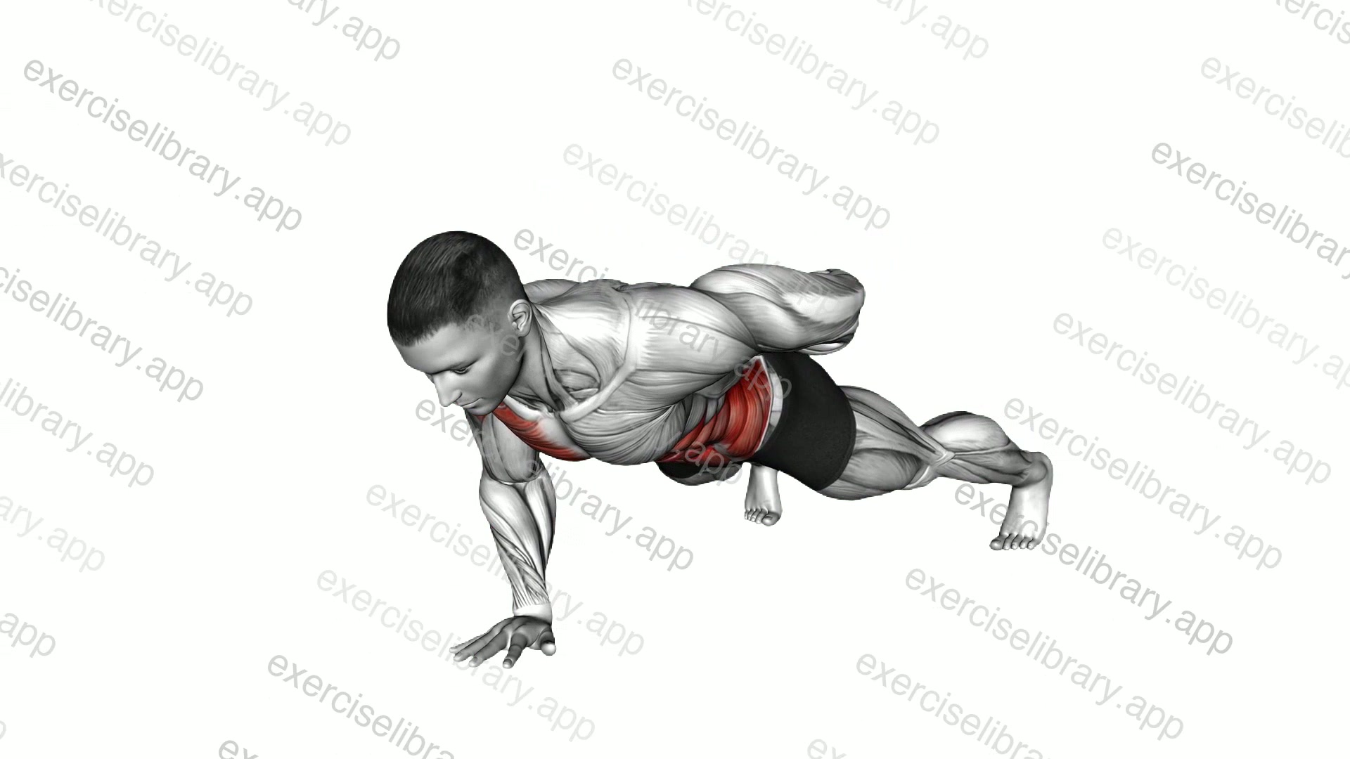 Single Arm Push-up demonstration