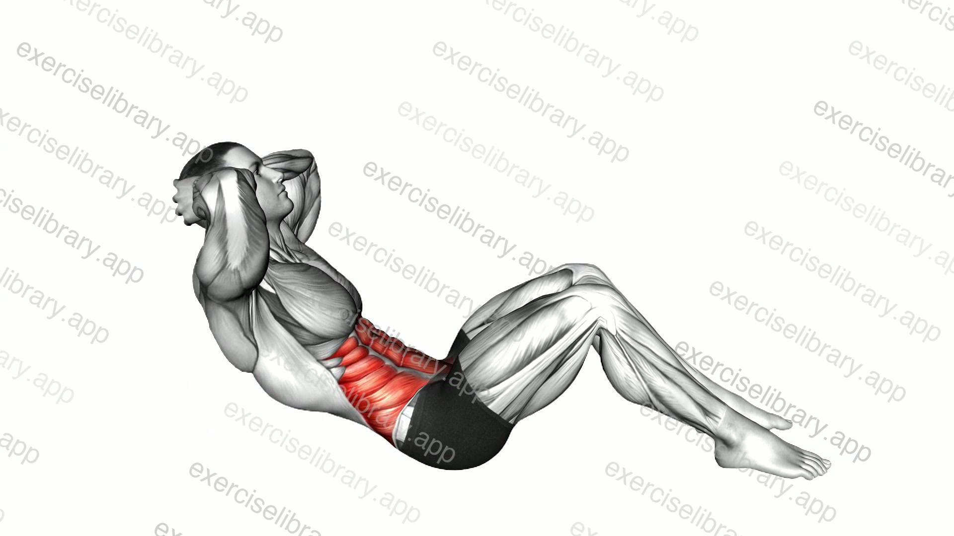 Sit-up II demonstration