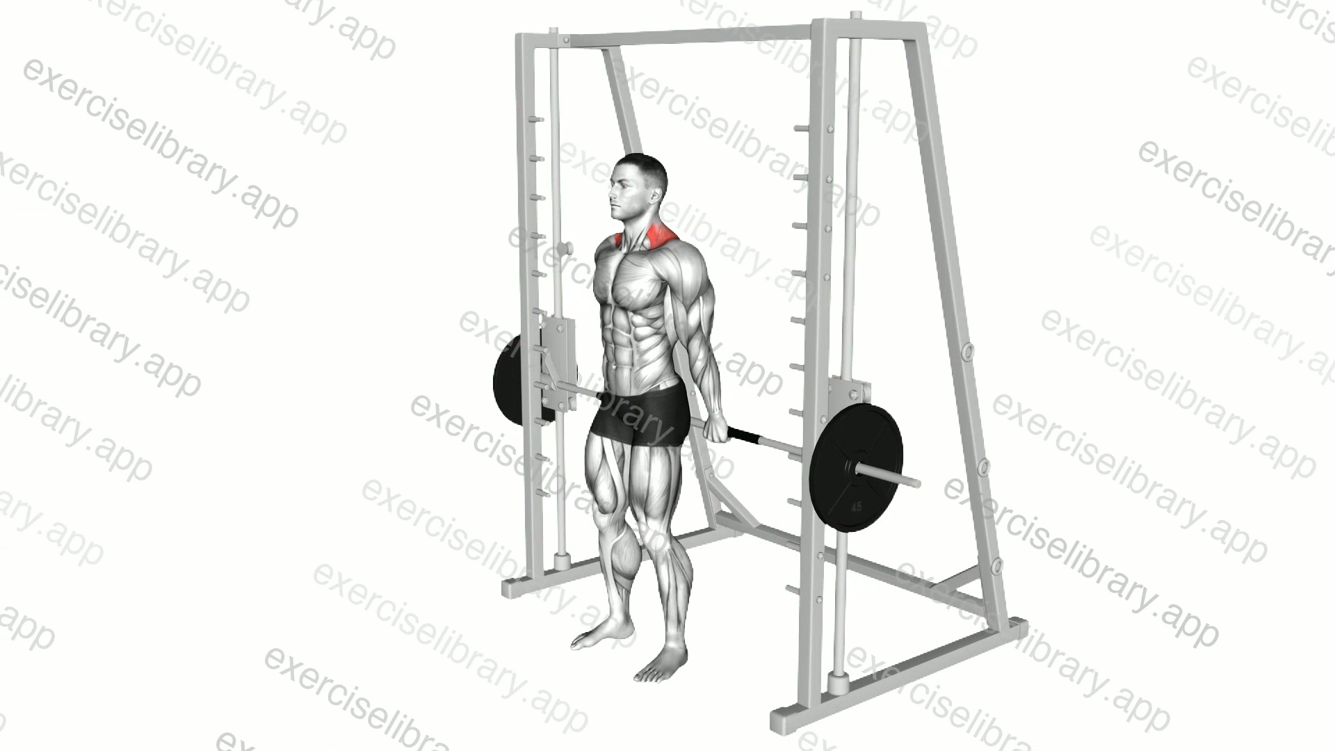 Smith Back Shrug demonstration