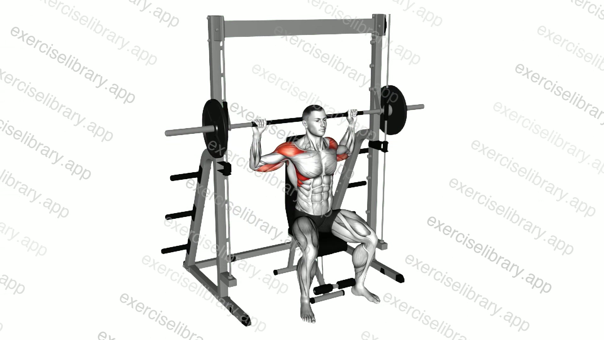 Smith Behind Neck Press demonstration