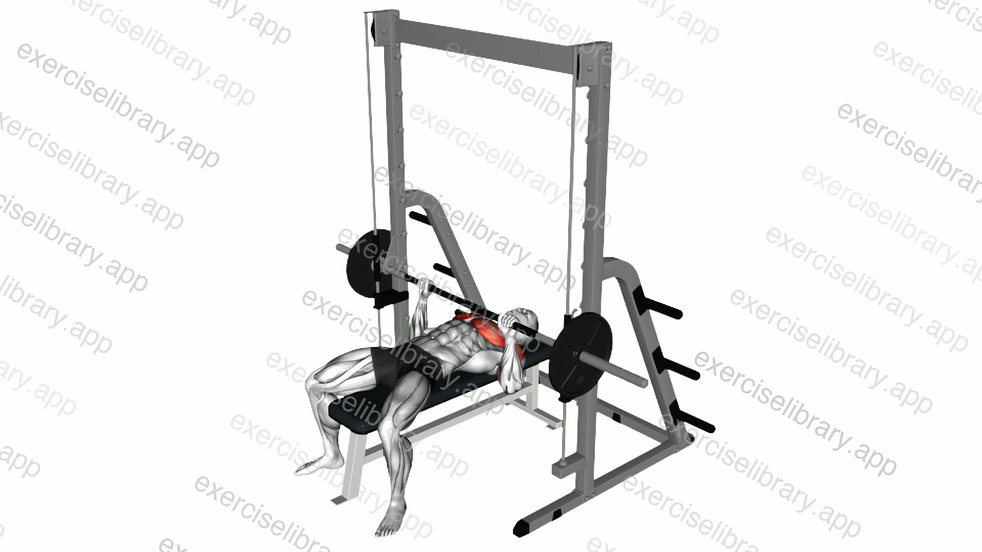 Smith Bench Press demonstration