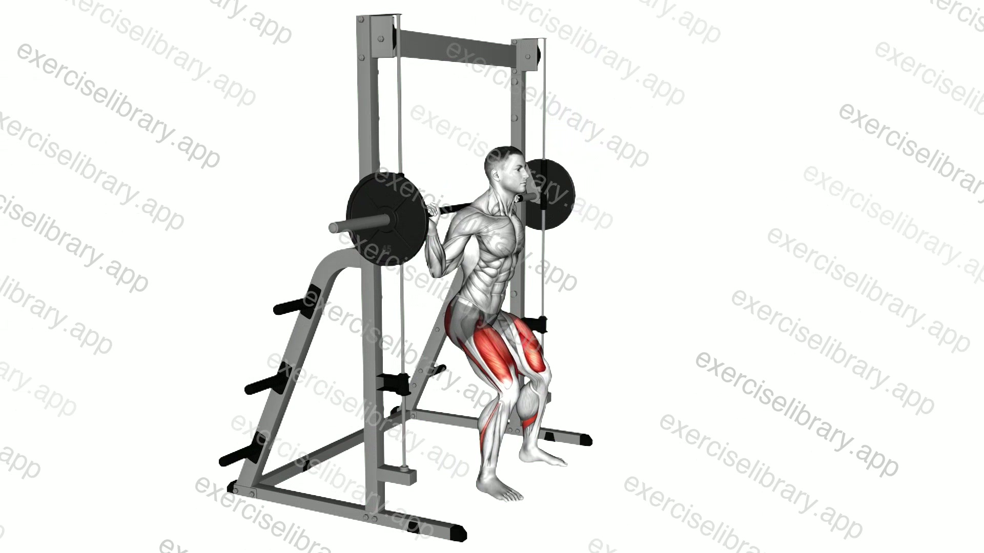 Smith Chair Squat demonstration
