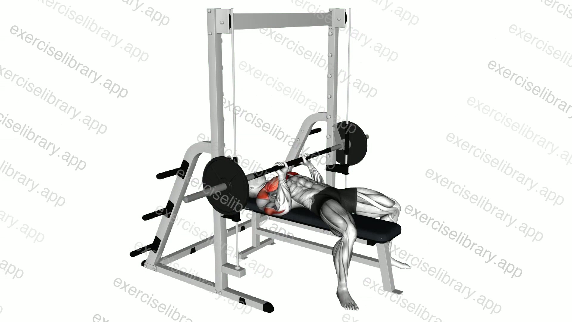Smith Close Grip Bench Press demonstration