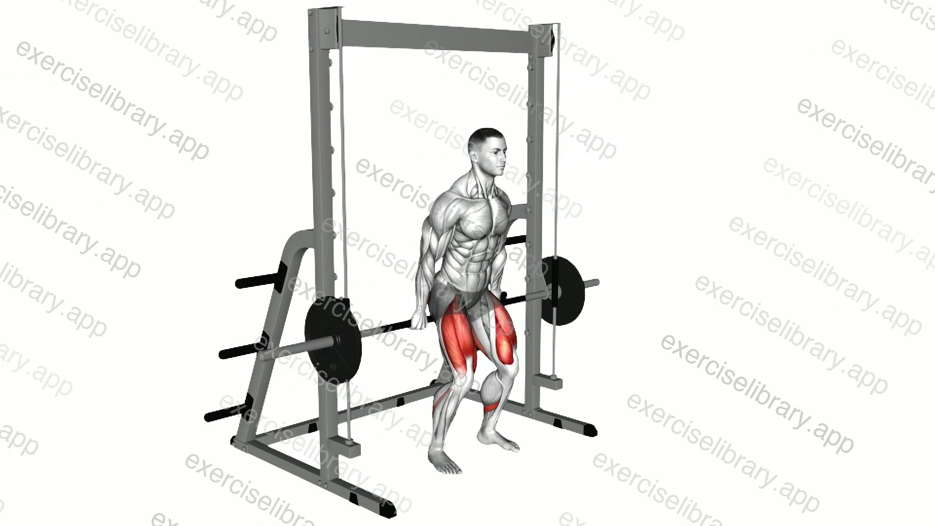 Smith Hack Squat demonstration