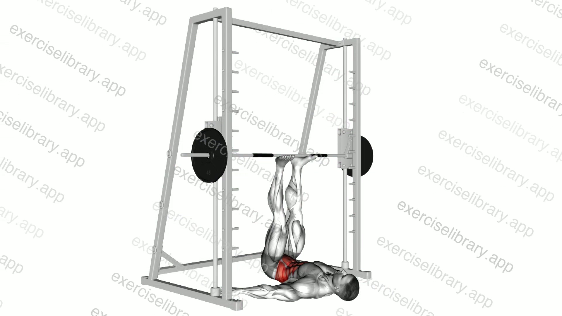 Smith Hip Raise demonstration