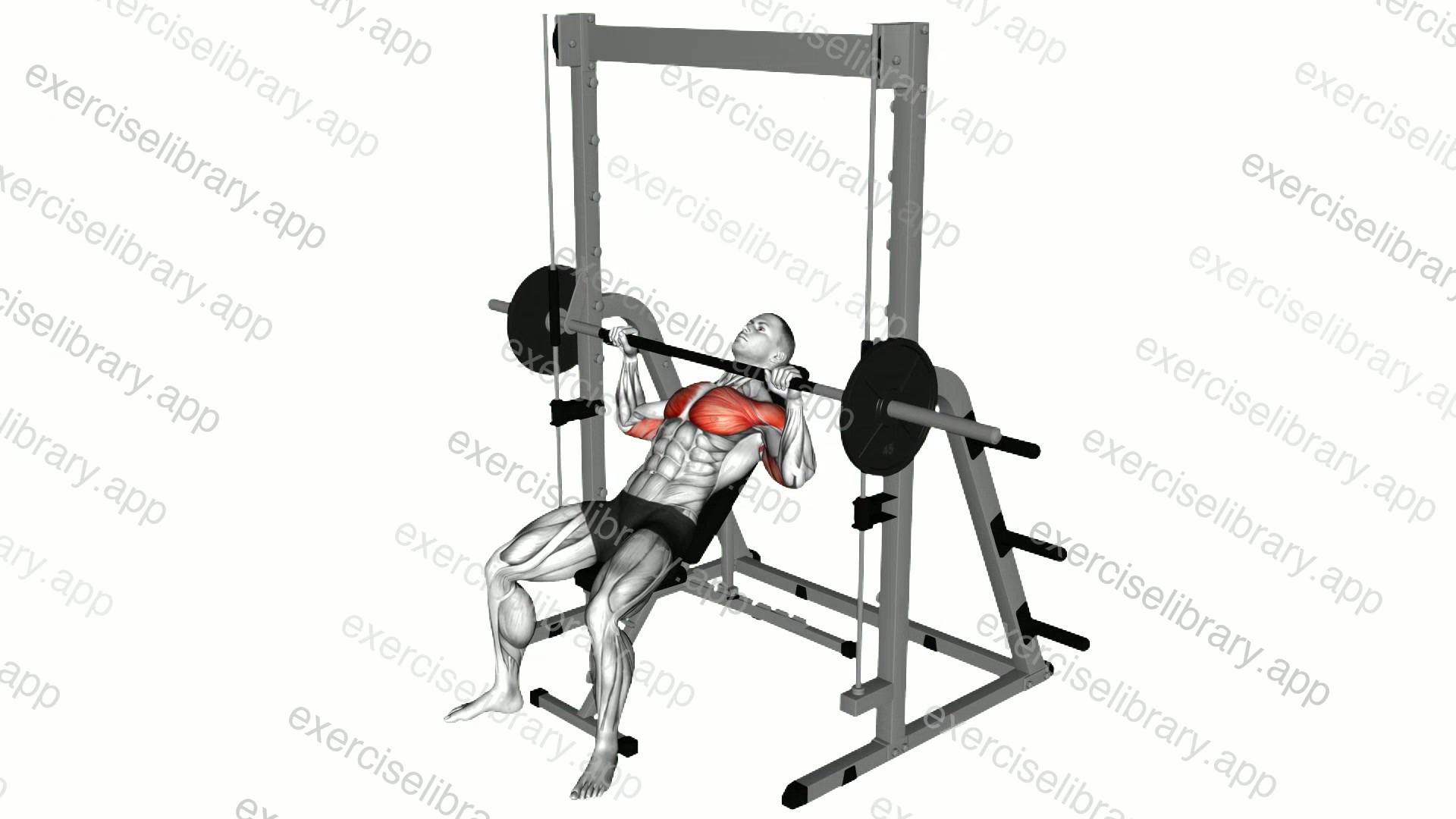 Smith Incline Bench Press demonstration