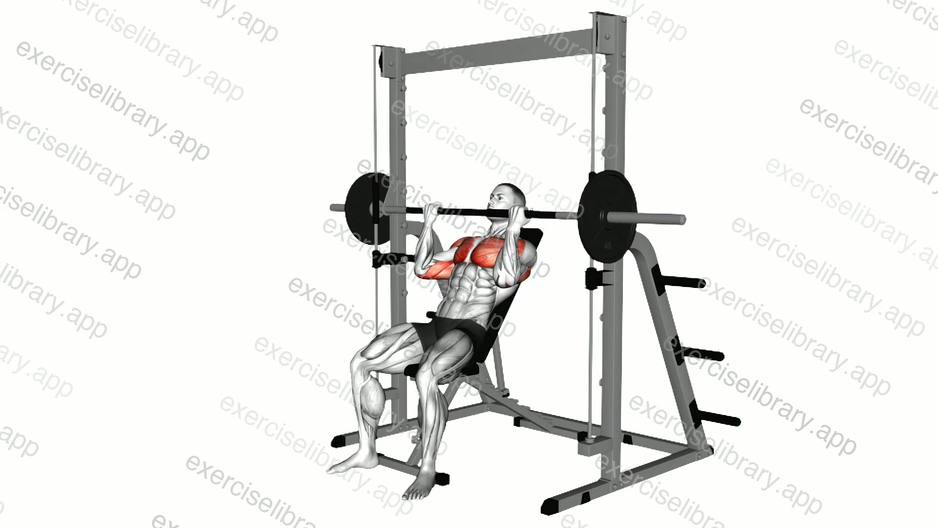 Smith Incline Reverse Grip Press demonstration
