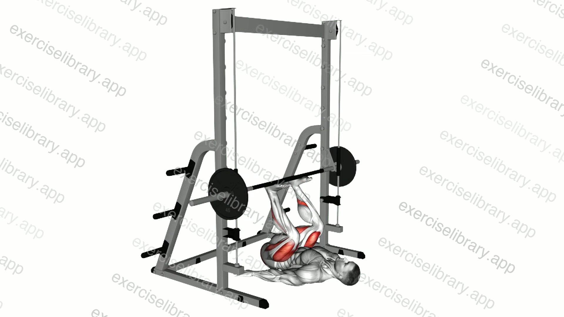 Smith Leg Press demonstration
