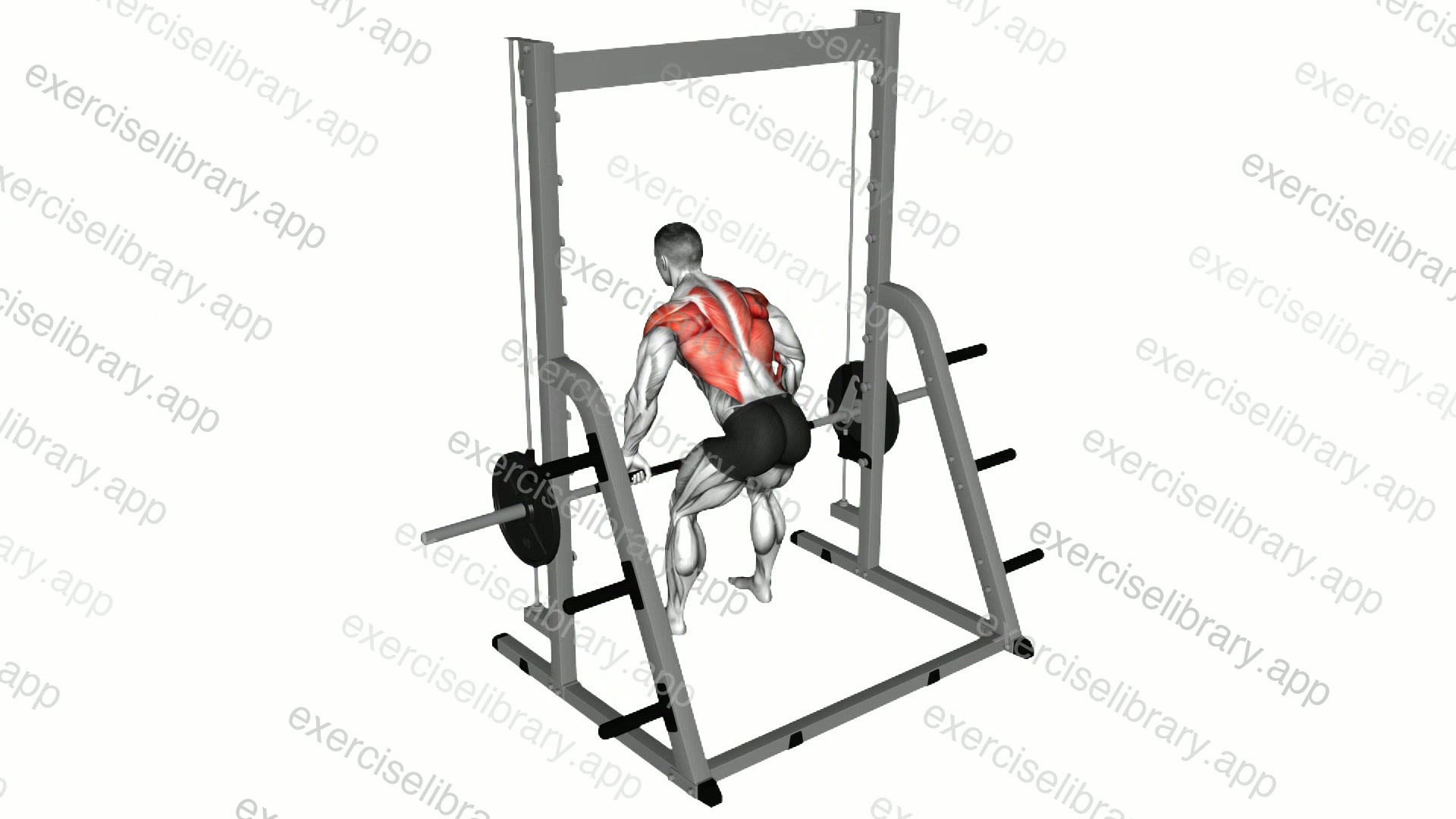 Smith Bent Over Row demonstration