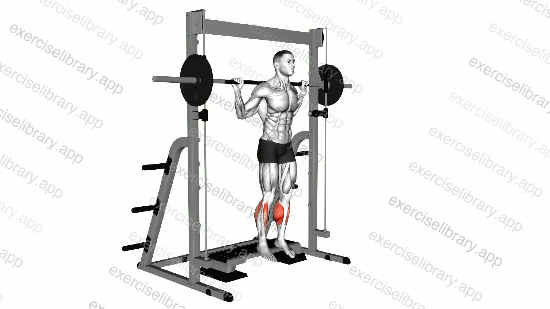 Smith Reverse Calf Raises demonstration