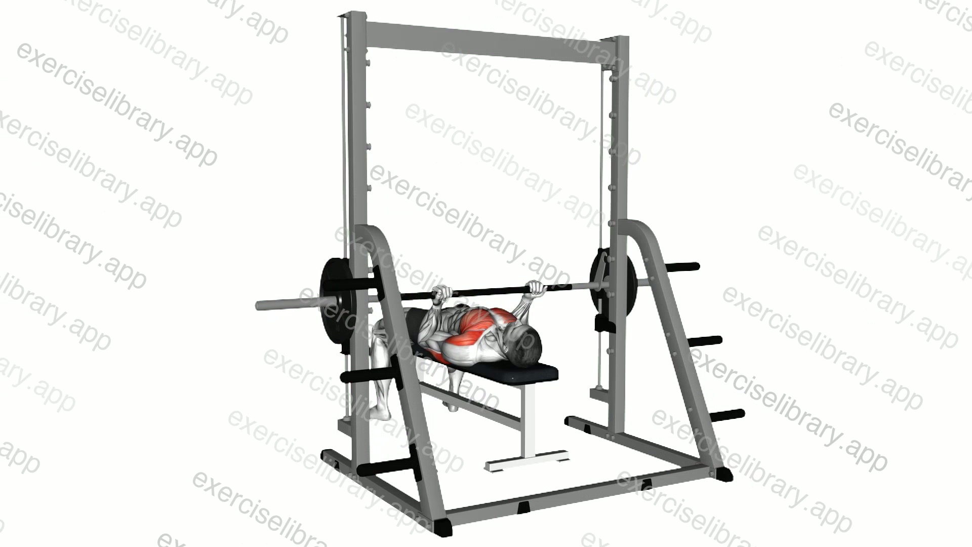 Smith Reverse Grip Press demonstration