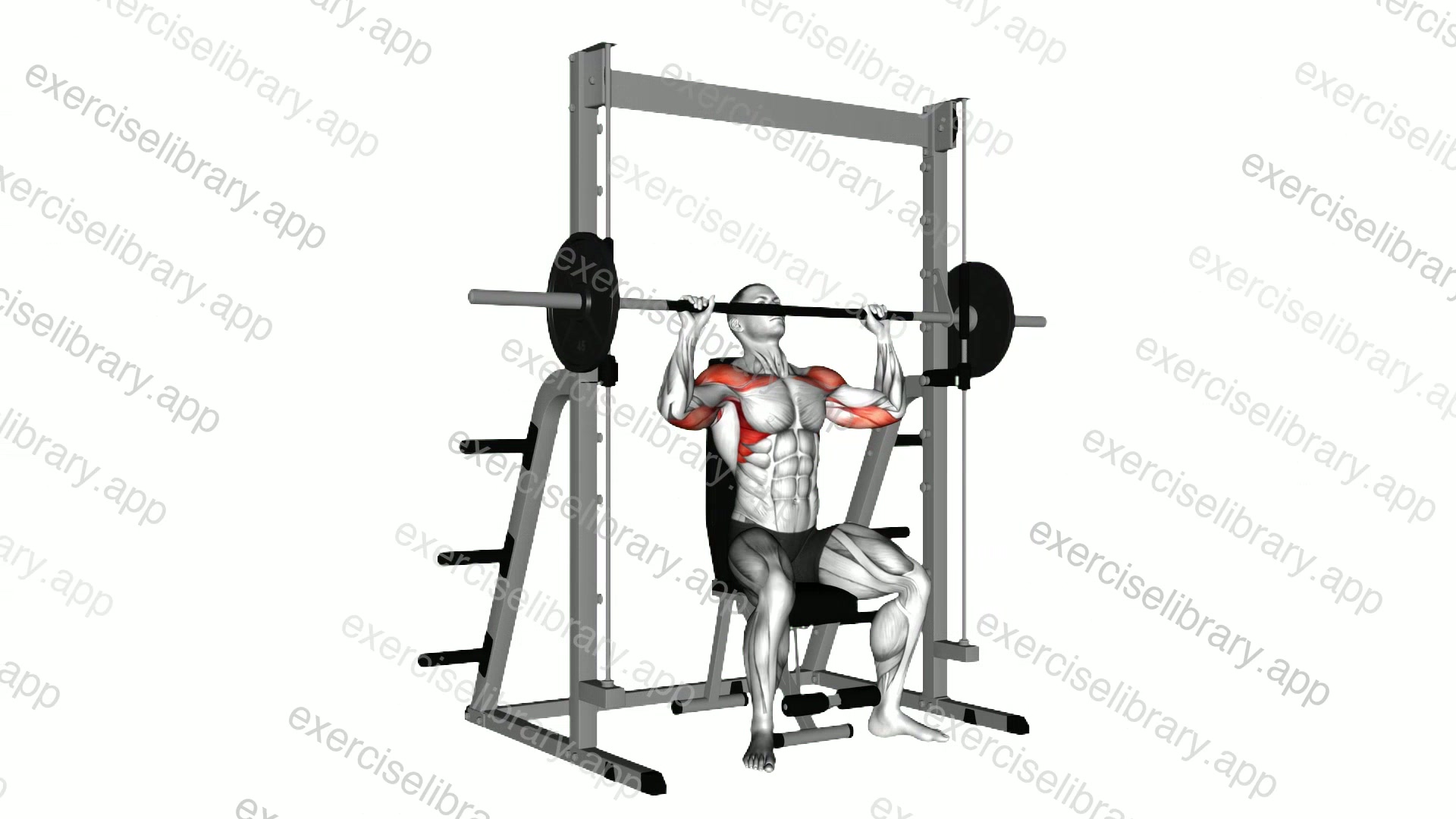 Smith Seated Shoulder Press demonstration