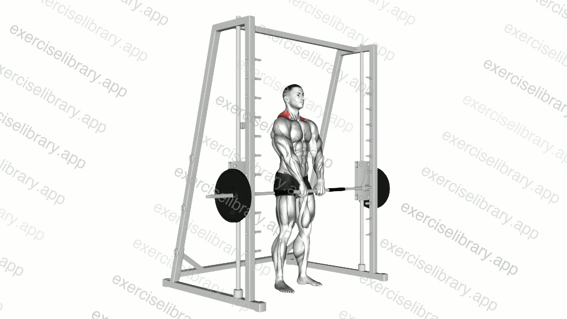 Smith Shrug demonstration