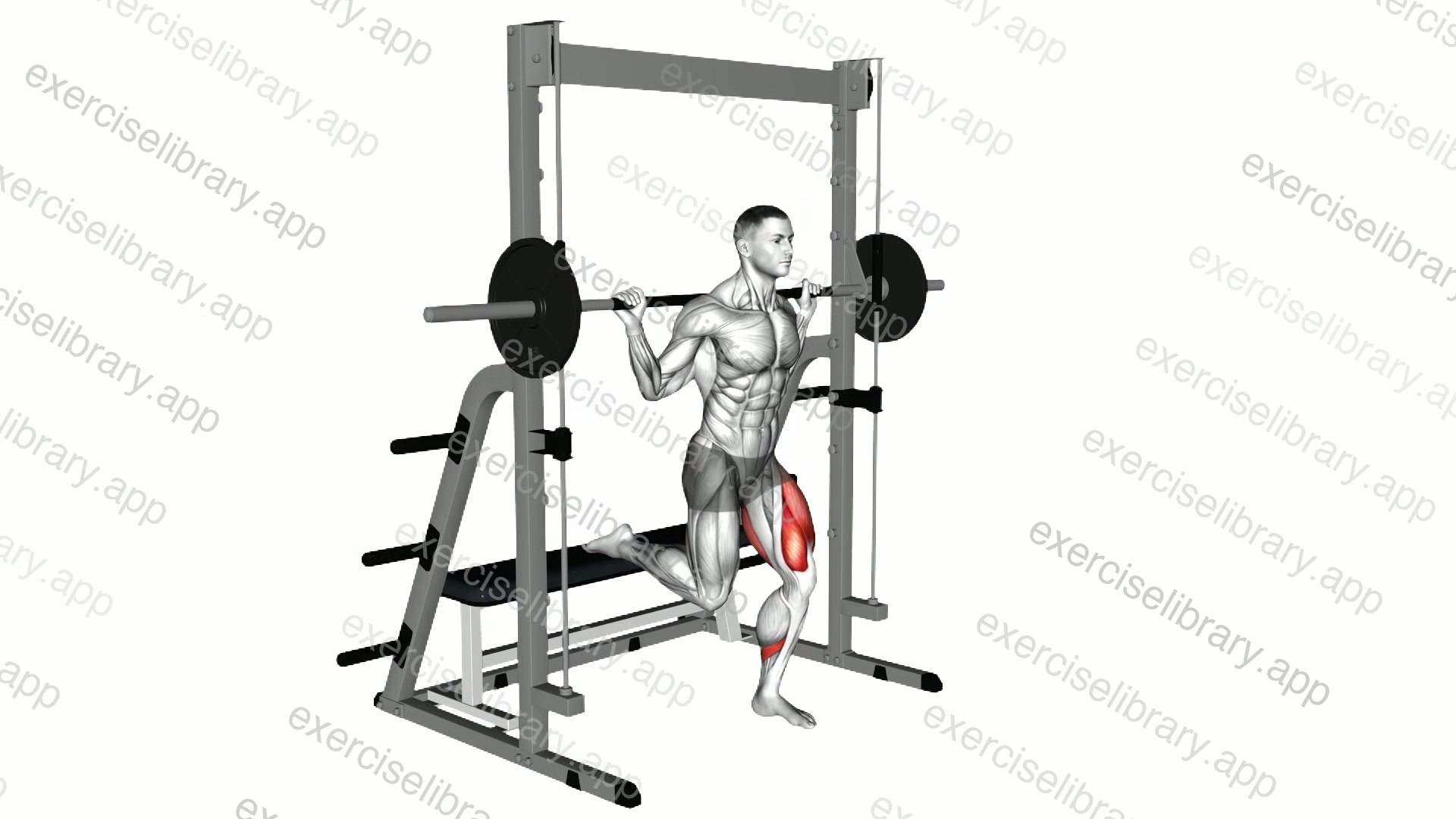 Smith Single Leg Split Squat demonstration