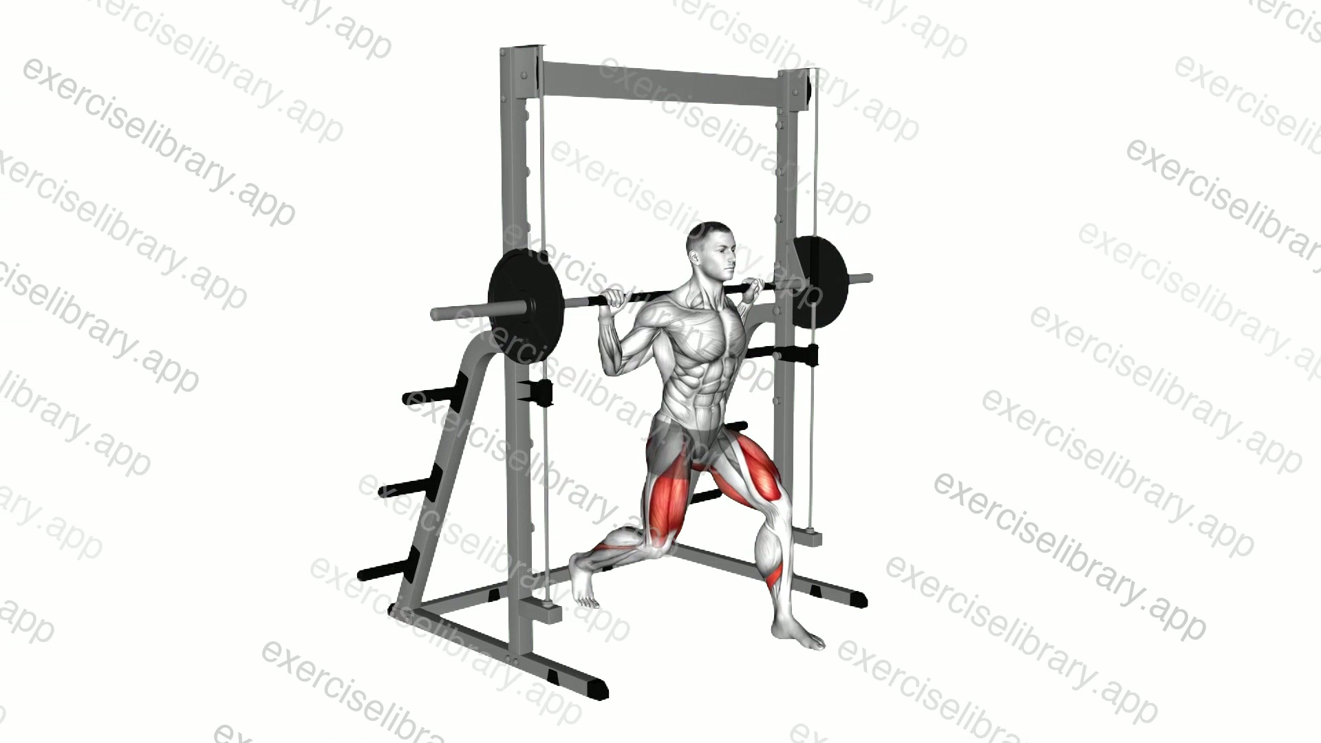 Smith Split Squat demonstration