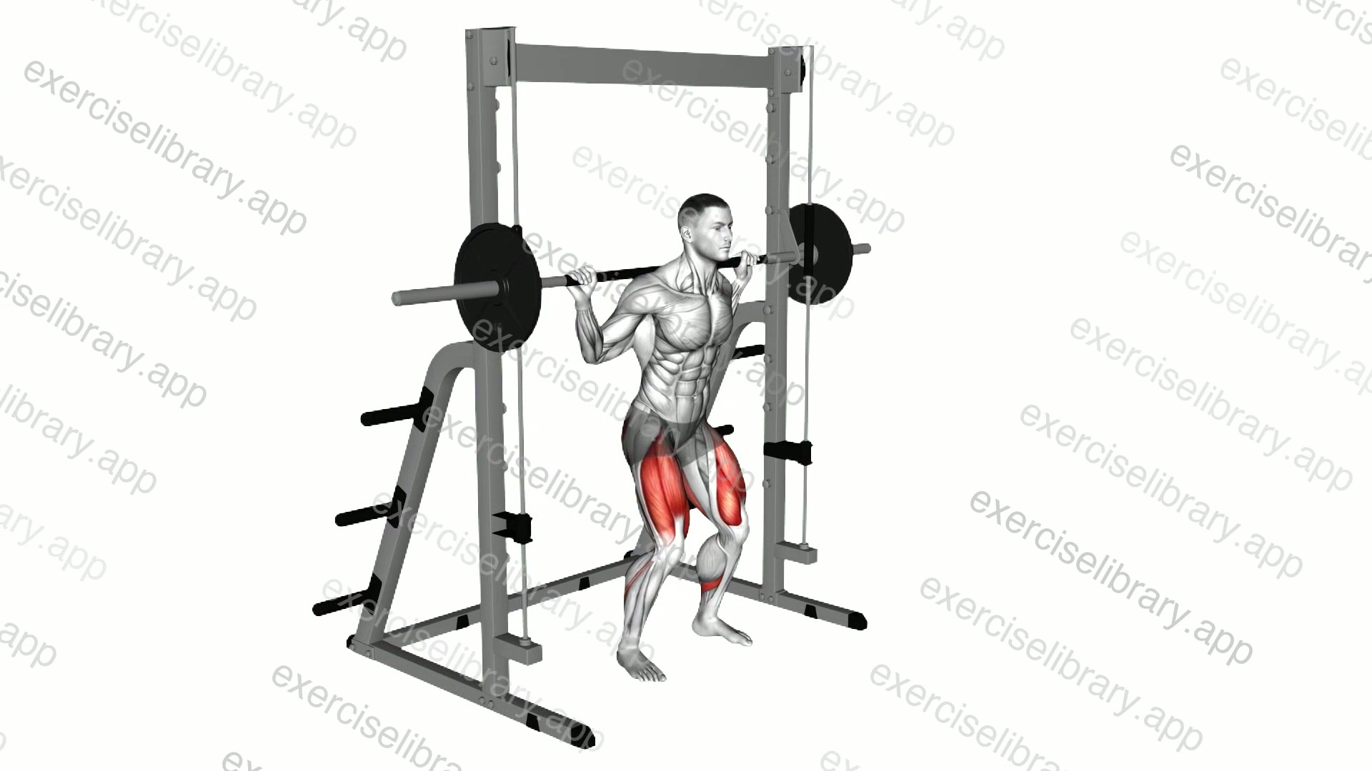 Smith Squat demonstration