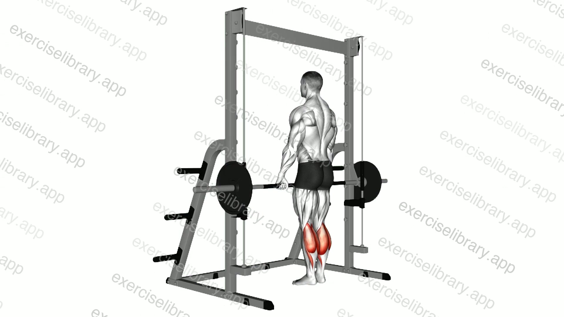Smith Standing Leg Calf Raise demonstration